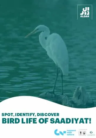 Saadiyat Birds