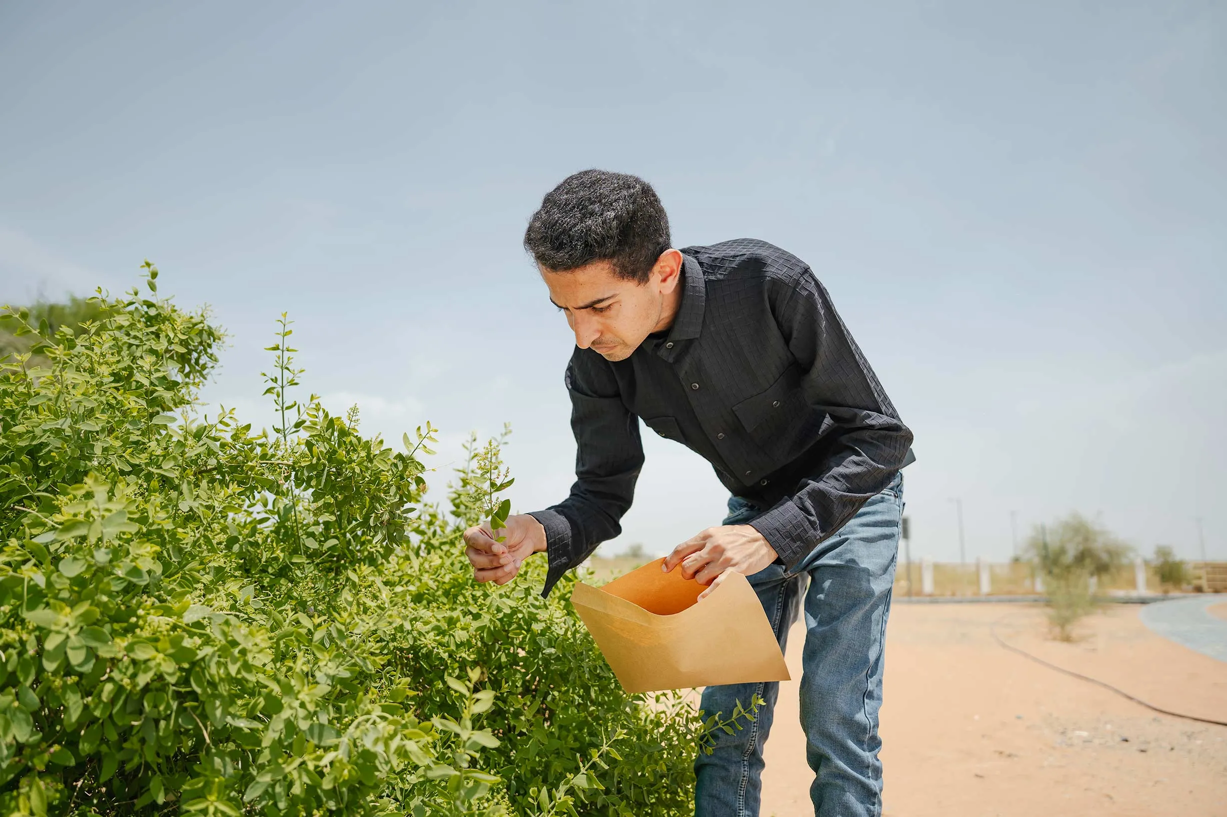 Students in nature