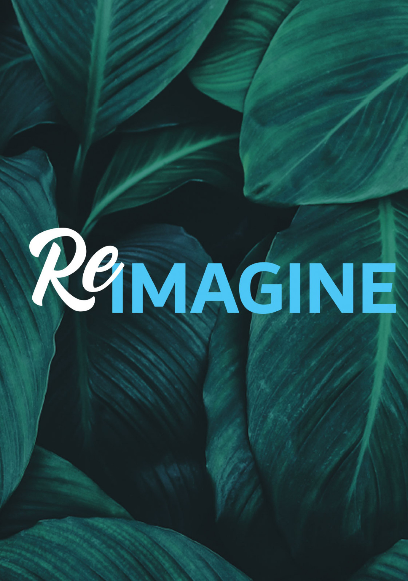 Reimagine