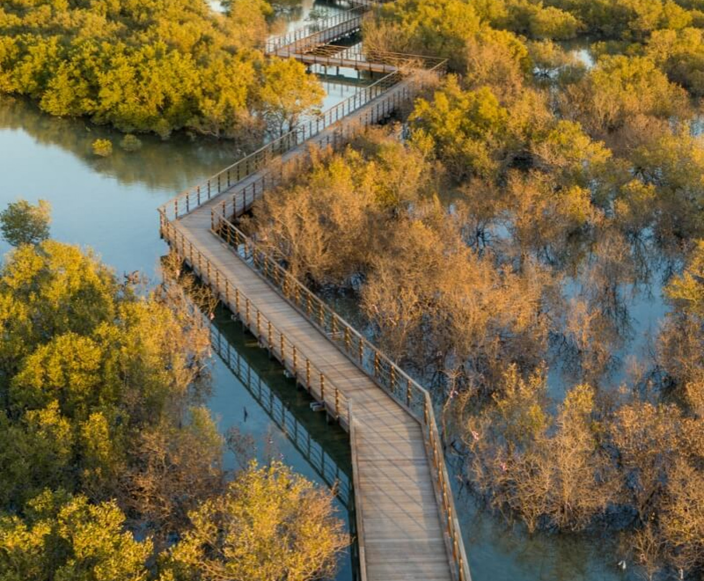 Explore Jubail Mangrove Park Connect With Nature