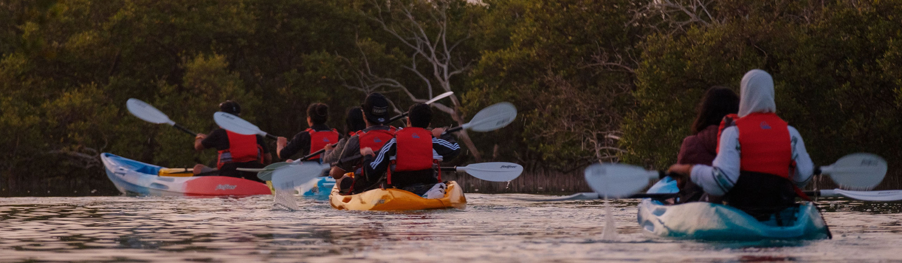 Sunset Kayaking Eastern Mangroves National Park Abu Dhabi UAE