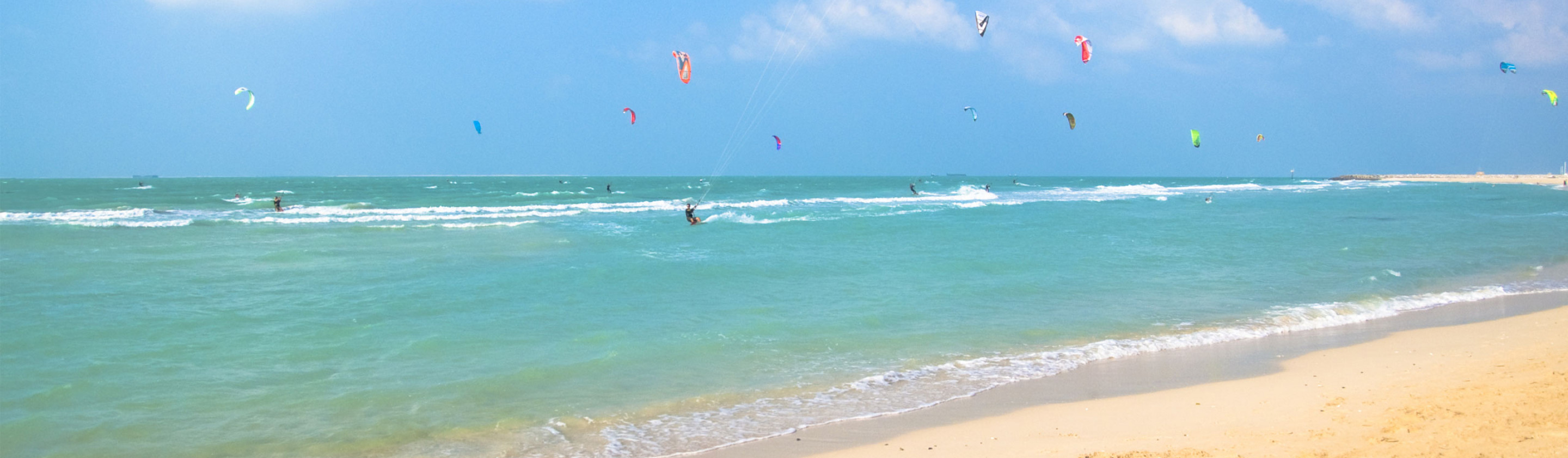 Wild Workout Kite Beach Dubai